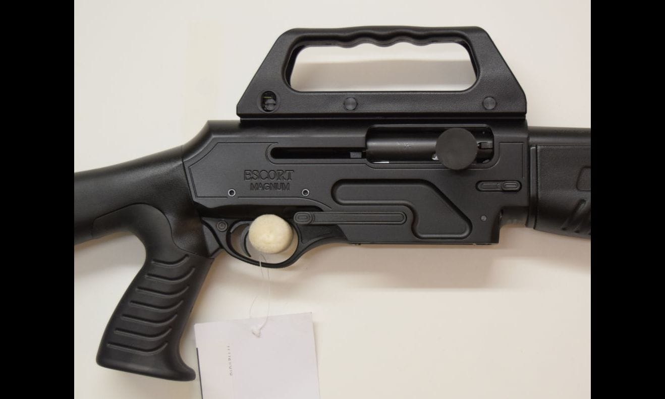 Hatsan Arms Escort