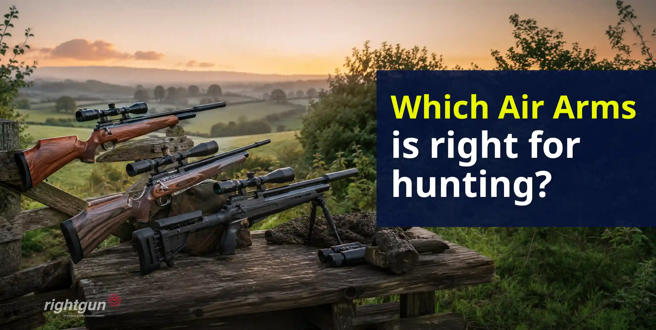 Which Air Arms is best for hunting? Choosing the right model for UK fieldwork