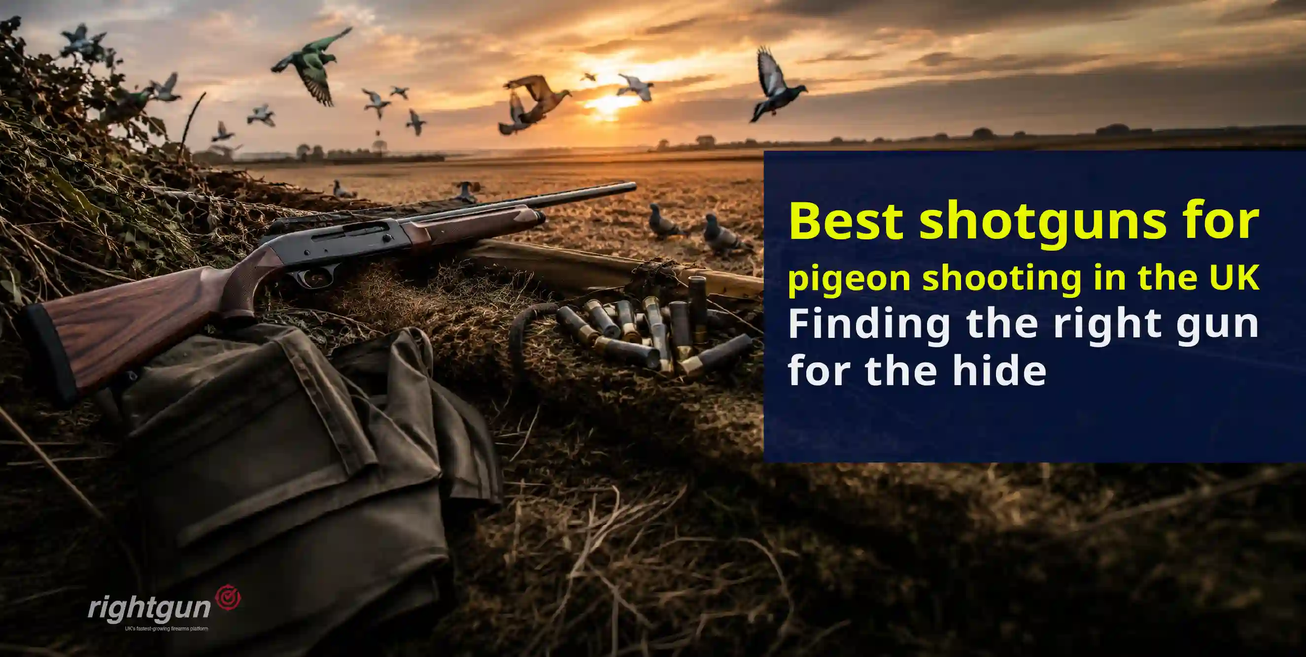 Best shotguns for pigeon shooting in the UK: Picks by budget