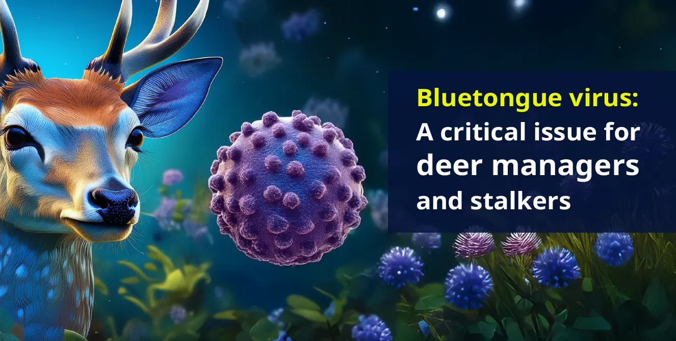 Bluetongue virus: A critical issue for deer managers and stalkers