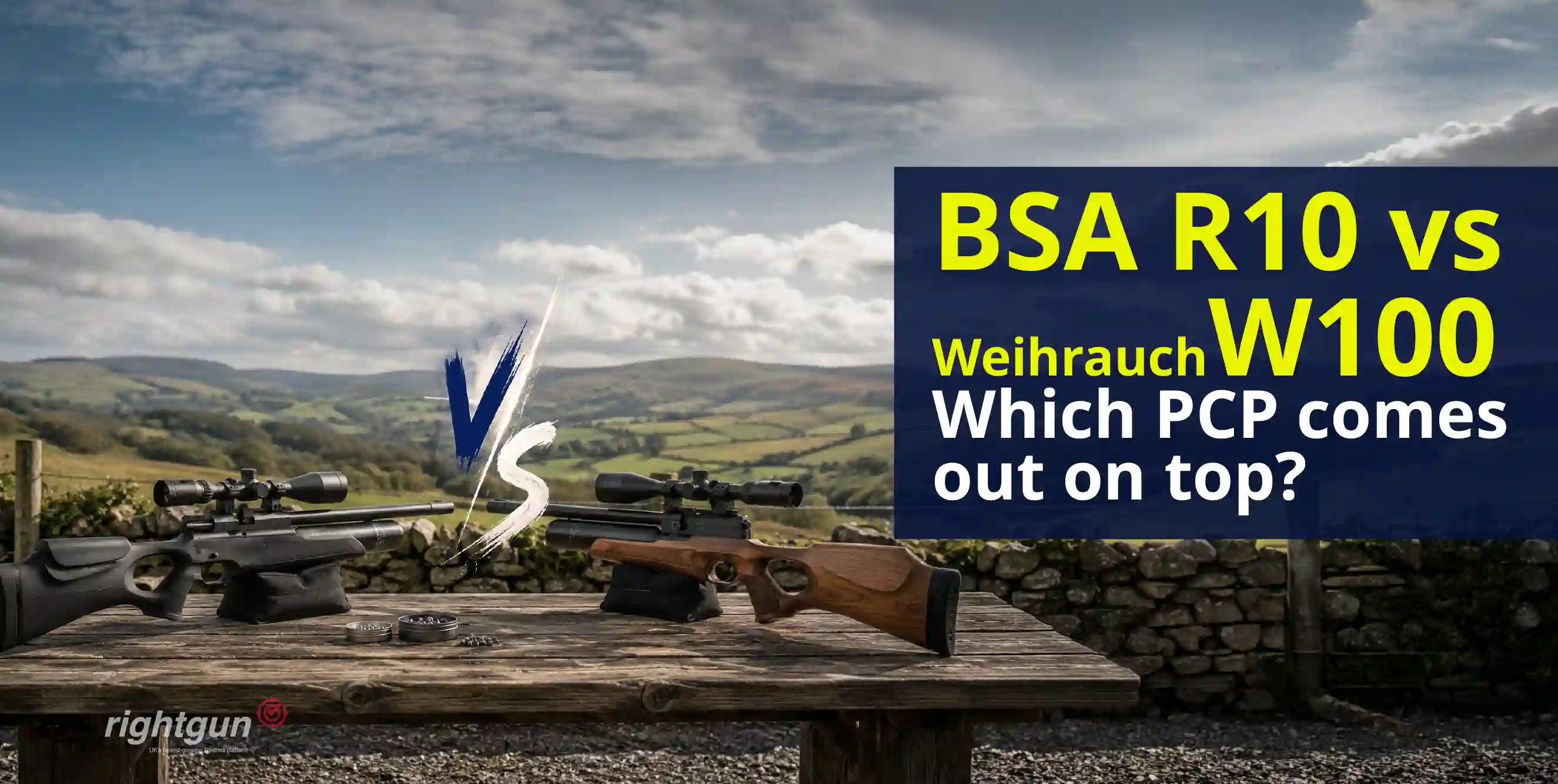 BSA R10 vs Weihrauch HW100: The UK's best PCP air rifles compared
