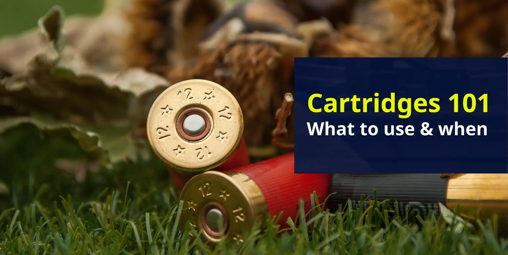 Cartridge selection: Choosing the right loads