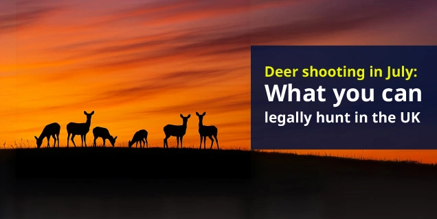 What deer can you shoot in July in the UK?