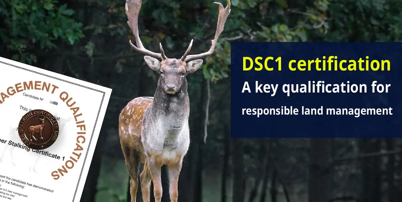 The DS1 deer stalking course: Why it’s an important qualification for landowners and forestry commissions