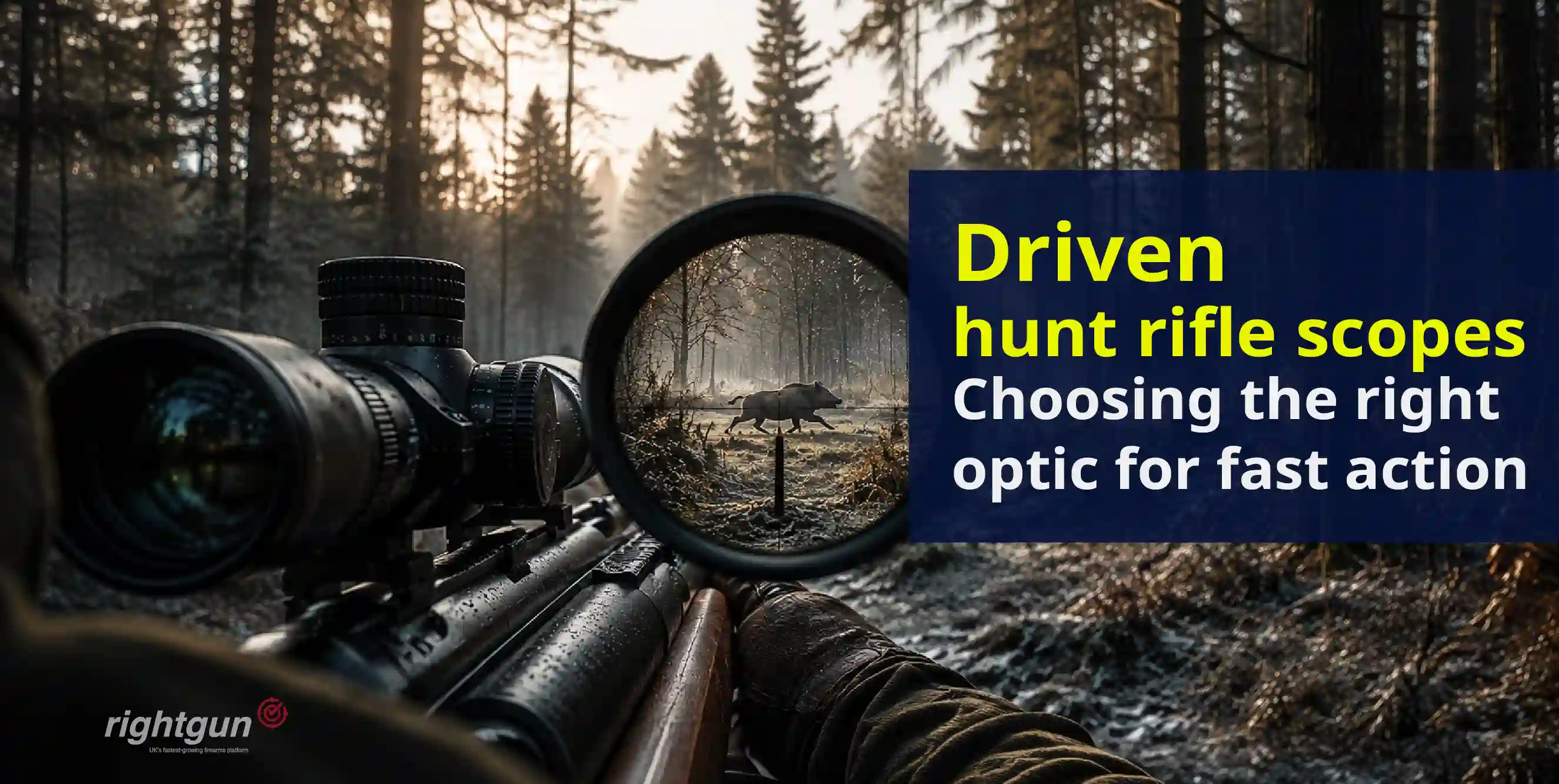 Driven hunt rifle scopes: How to choose the right optic for fast, close shooting