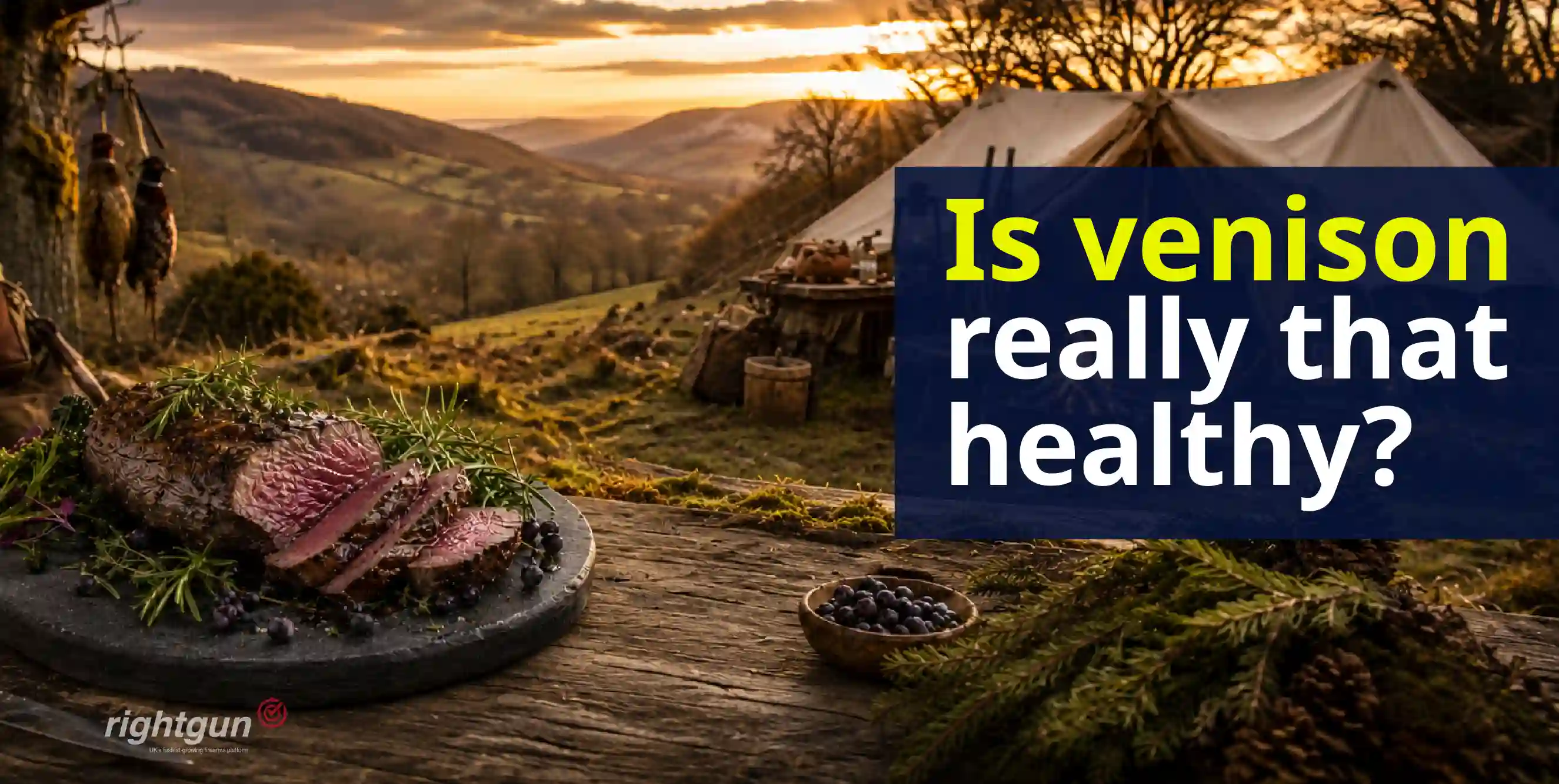 Is deer meat healthy? A complete guide to venison nutrition and benefits