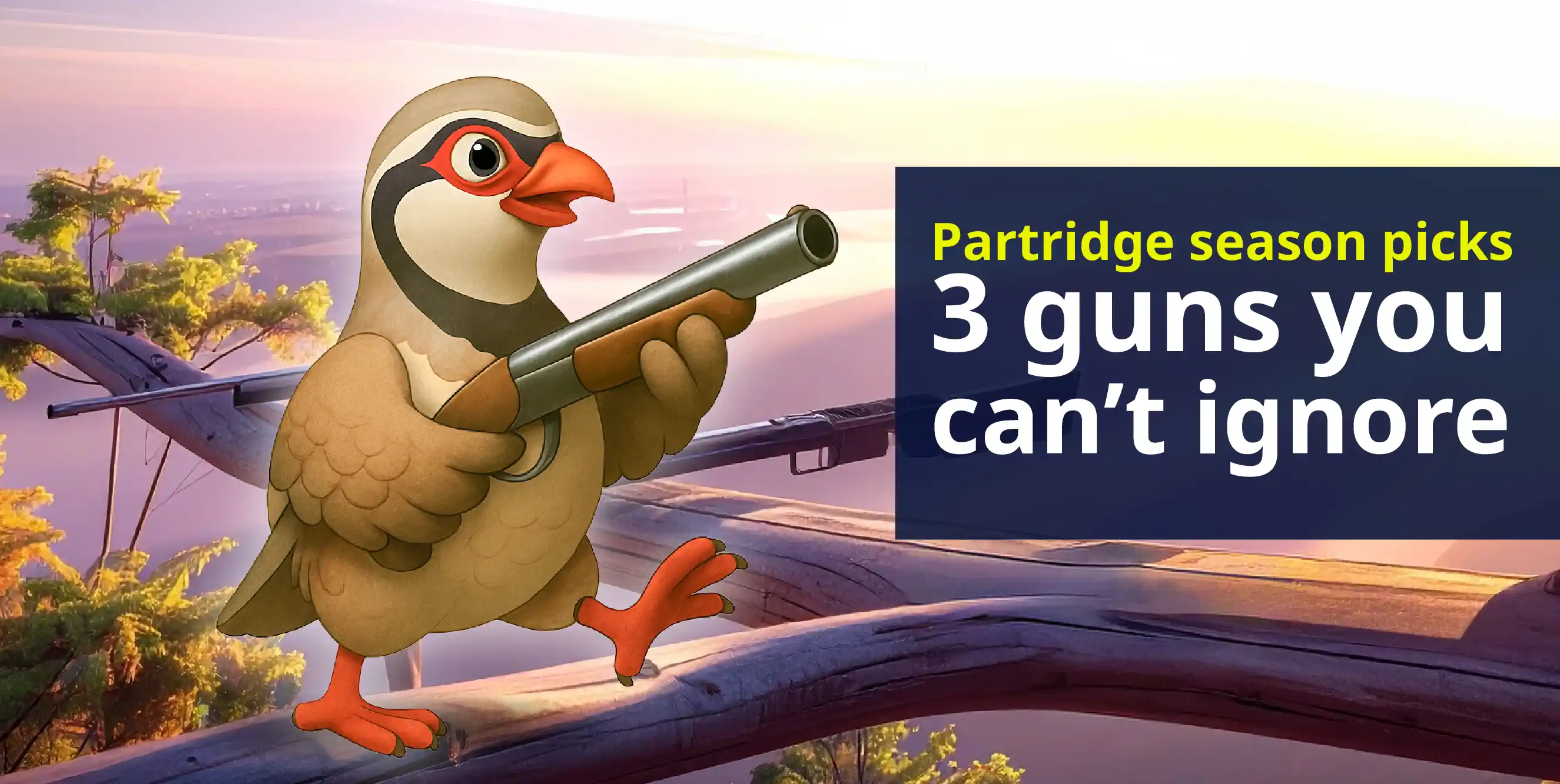 The top 3 guns for the partridge season