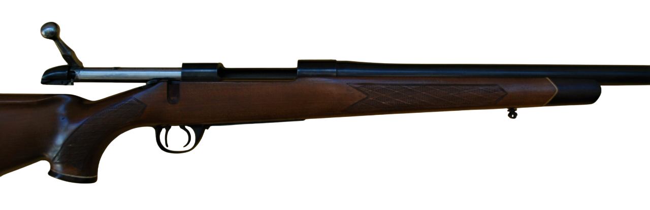 Firearm: BSA 300 
