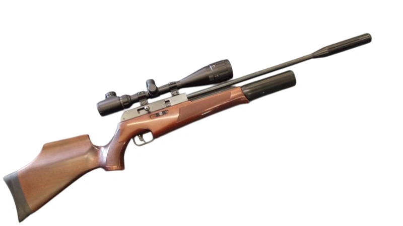 Gun_Image