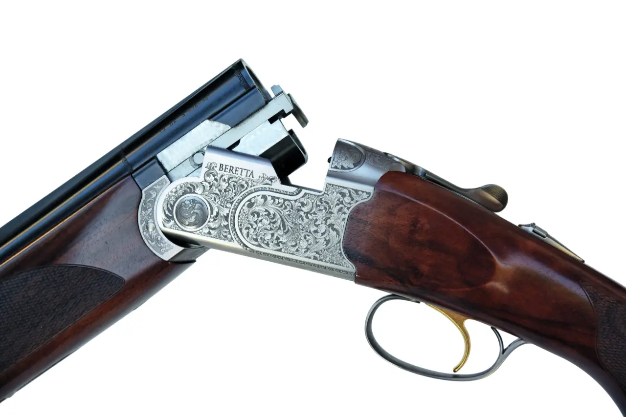 Gun_Image