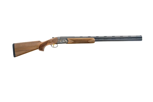 Firearm: Bettinsoli Super Sport 