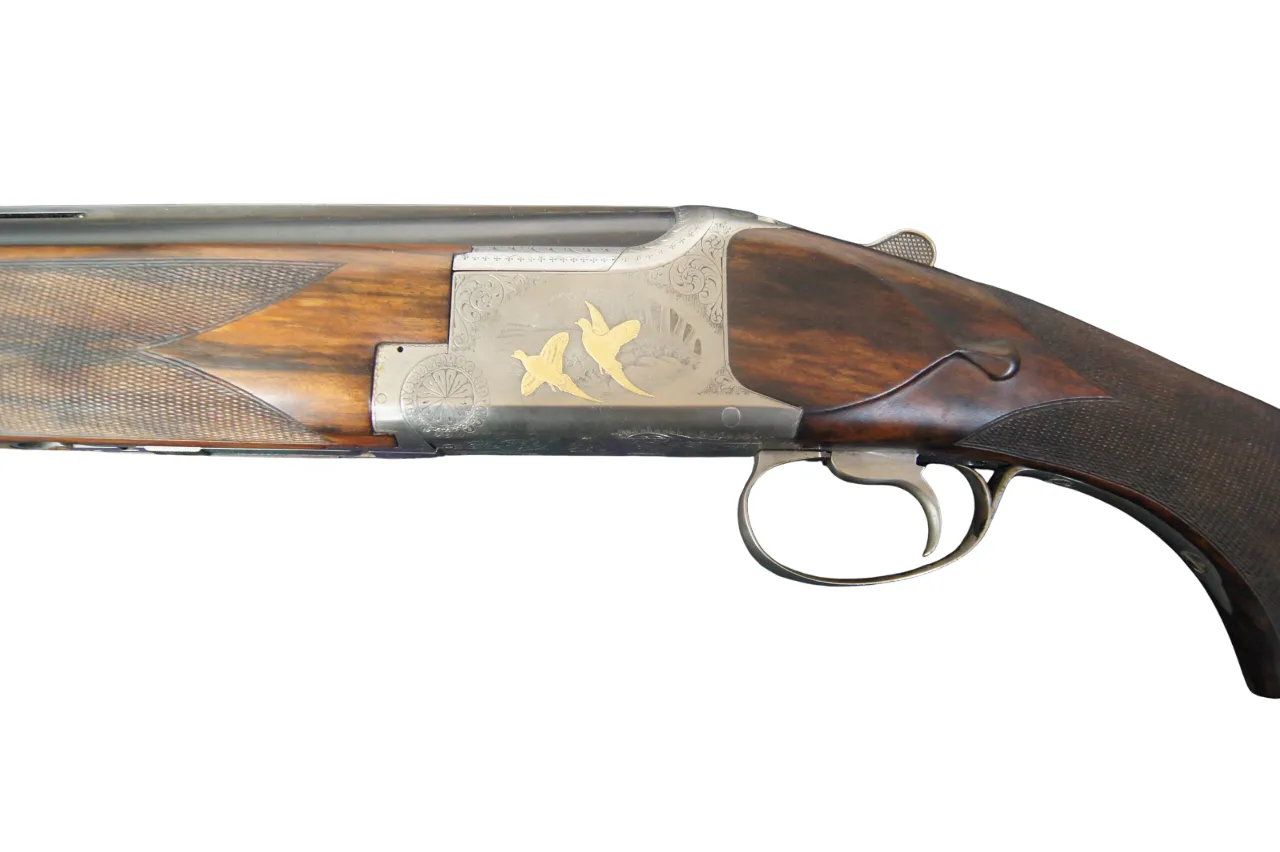 Gun_Image
