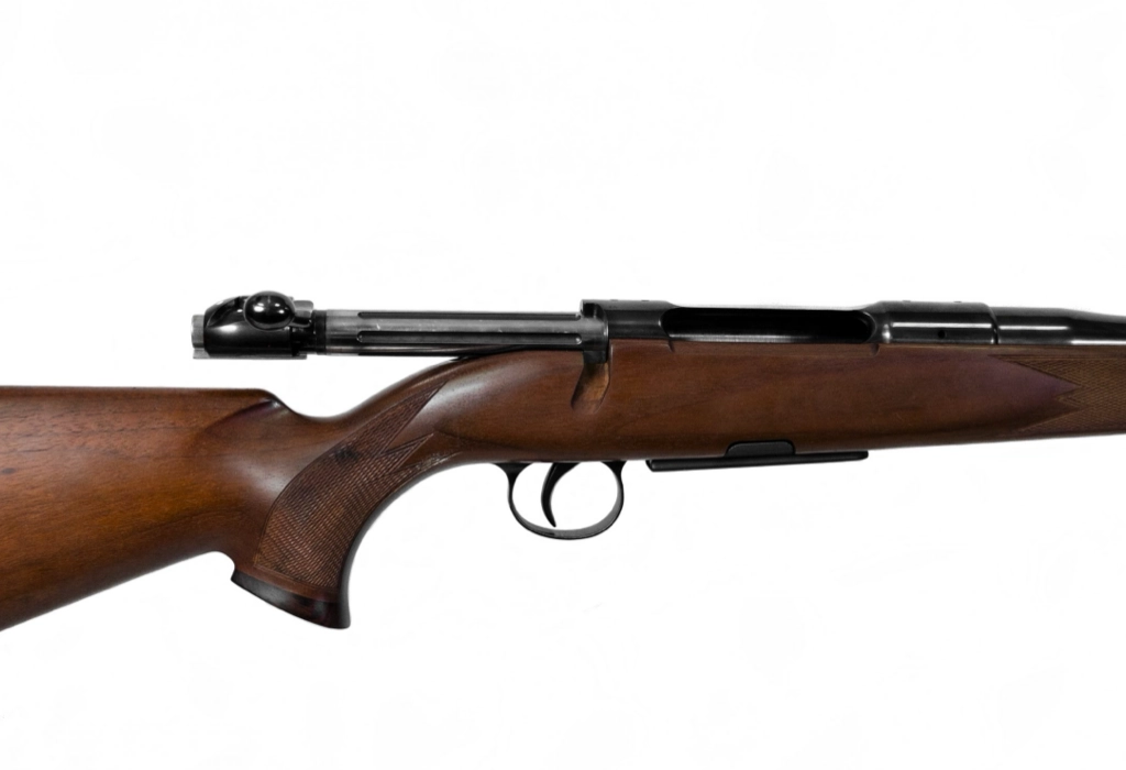 Firearm: Heym SR21 