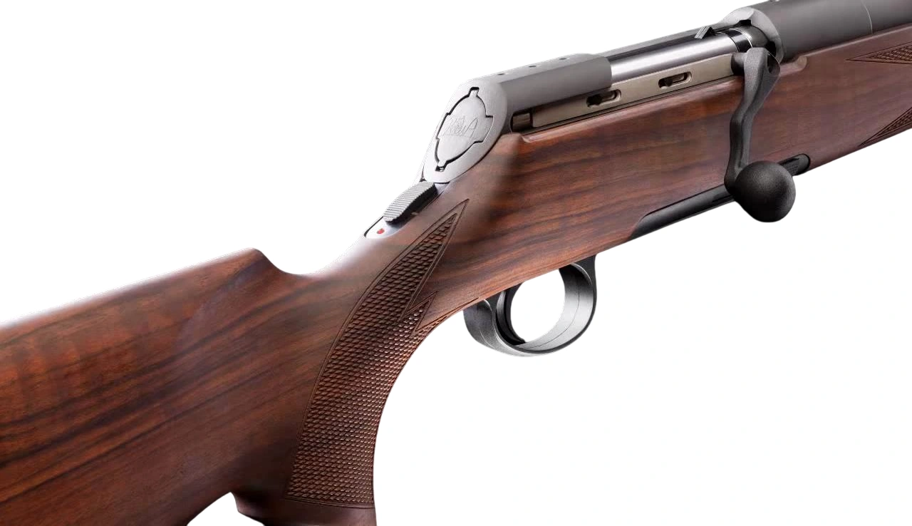 Firearm: RWS Titan 3