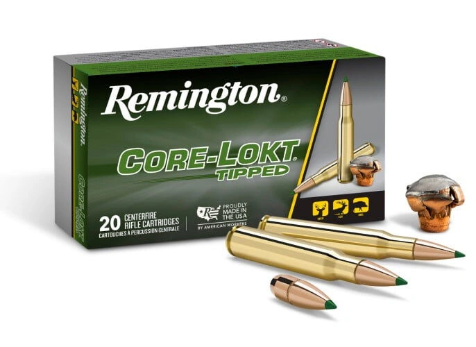 Ammunition photo