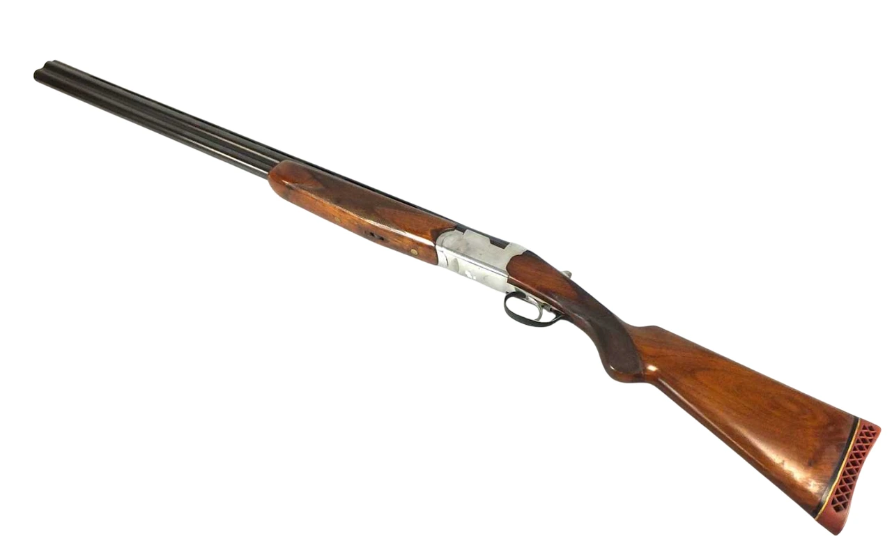 Gun_Image