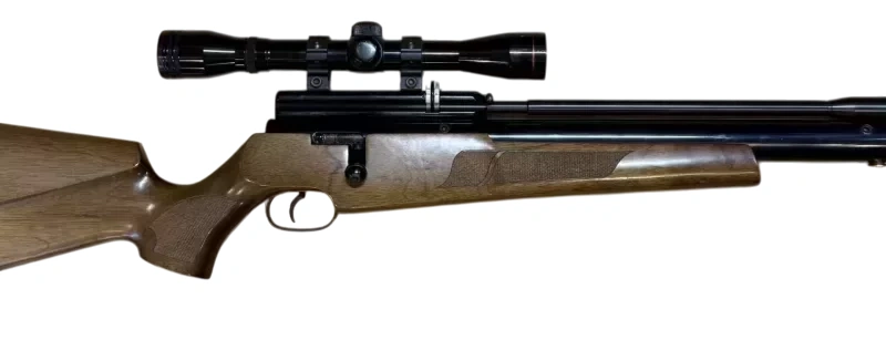 DEFAULT_GUN