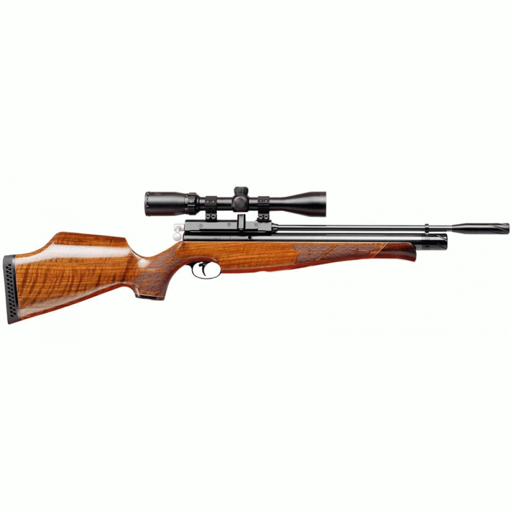 Gun_Image