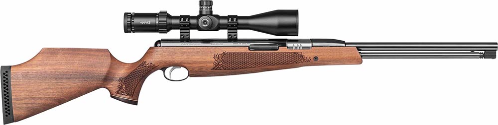 Gun_Image