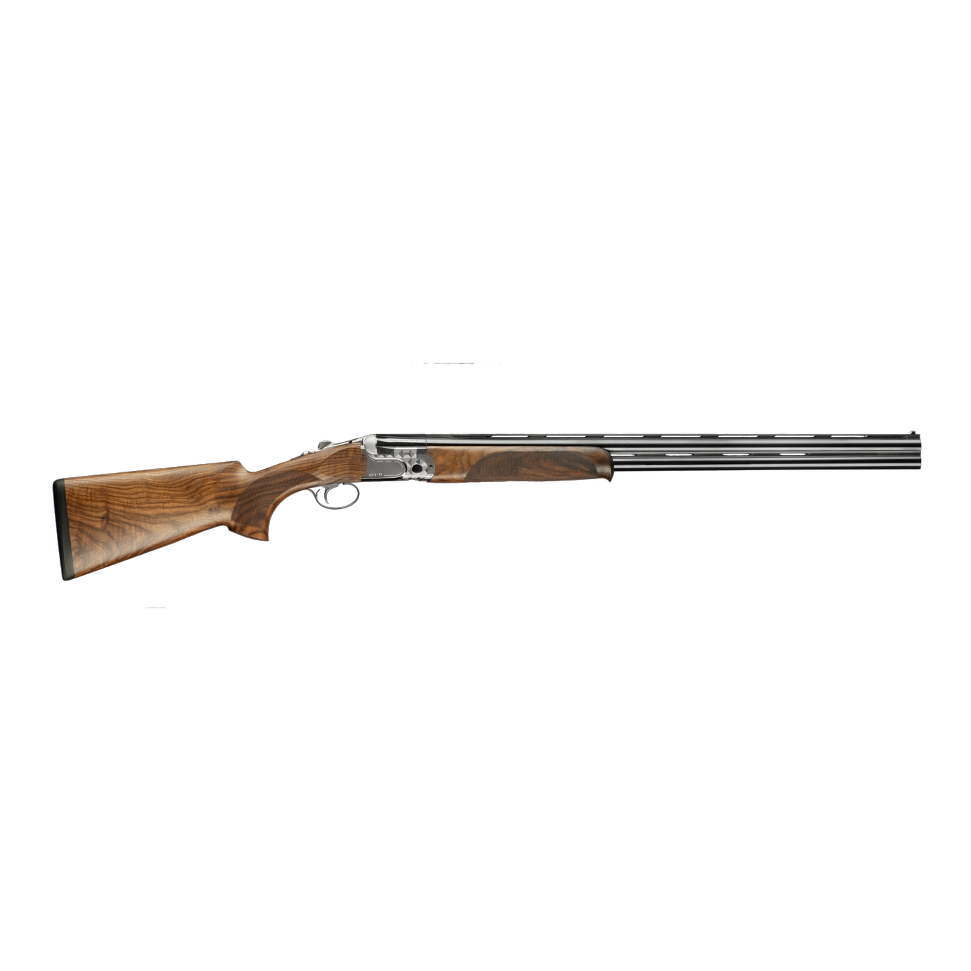 Firearm: Beretta DT10 Trident