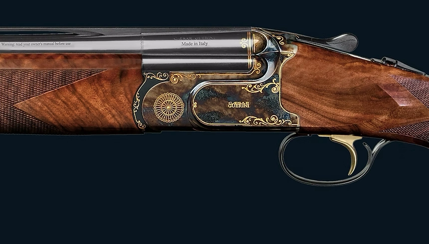 Gun_Image