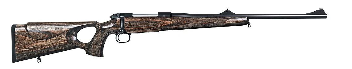 Gun_Image