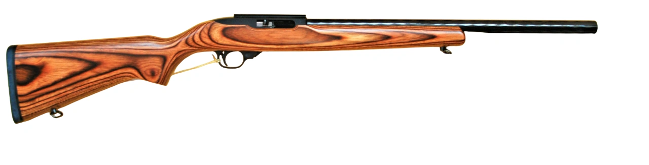 Firearm: Ruger 10-22 Laminate Hunter