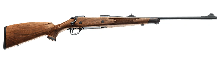 Gun_Image